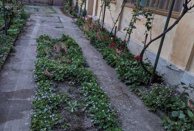 Casă cu 4 camere în Zimandu Nou - 4