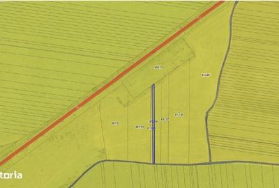 Spațiu comercial, în Ciobani - 9