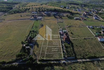 Terenuri de vanzare - investitie sigura intr-o zona in dezvoltare Terenuri de vanzare - investitie sigura intr-o zona in dezvoltare - 2