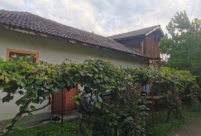 Casa zona centrală Târgu Jiu - 3
