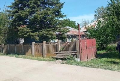 Casă cu 3 camere cu Teren 2588 Mp în Suhaia - 9