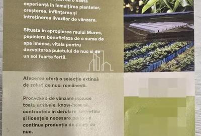 Teren de 23700 mp, în Sângeorgiu de Mureș - 2