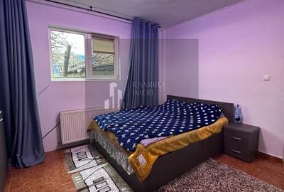 Casă individuală cu 7 camere cu Canalizare în Brâncoveanu - 10