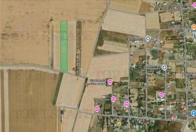 Teren de 5000 mp, în Vadu - 2