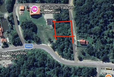 Spațiu comercial, în Viștișoara