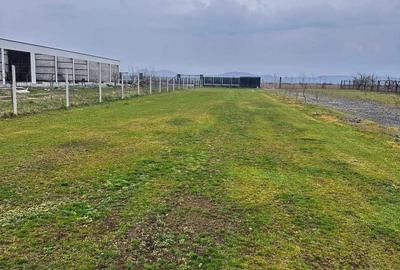 Teren de 1150 mp, în Nord - 1