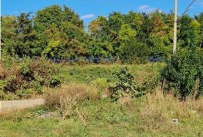 Teren de 2800 mp, în Burdujeni - 5