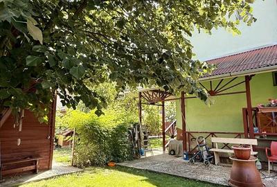 Casă cu Canalizare în Lunei - 10