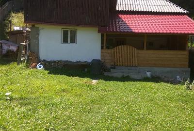 Teren de 2000 mp, în Bradu - 7