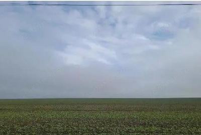 Teren de 1498 mp, în Orbeasca - 8