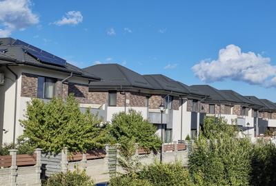 Vile individuale padurea Rosu - 9