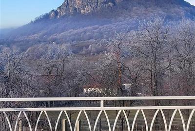 Acasa in Apuseni - 17