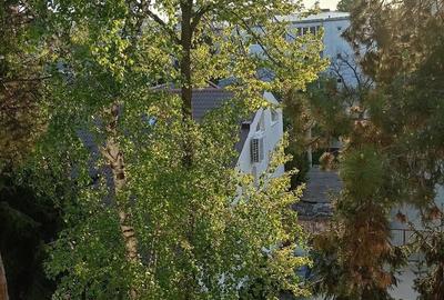 Apartament cu 3 camere semidecomandat în Mănăștur - 8