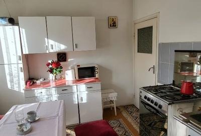 Duplex cu 3 camere cu Canalizare în Lunei - 3