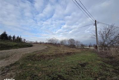 Spațiu comercial, în Paleu - 5