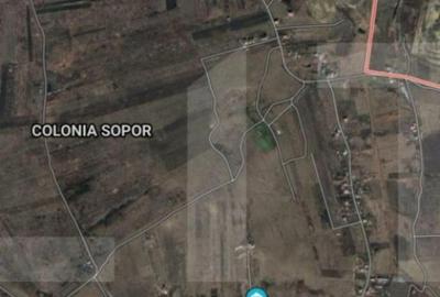 Teren intravilan 1072.5 mp Colonia Sopor, front de 46 ml la Teren intravilan 1072.5 mp Colonia Sopor, front de 46 ml la - 1