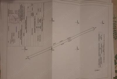 Teren de 13000 mp, în Sânmihaiu Român