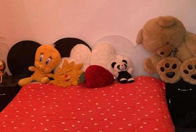 Apartament cu 2 camere decomandat în Central - 1