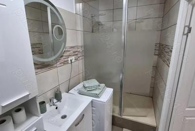 Chirie apartament cu o camera ultracentral - 7