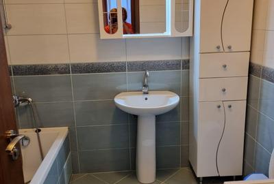 Apartament cu 2 camere decomandat, mobilat în Camil Ressu - 12