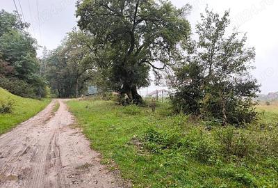 Teren intravilan de vanzare 2.000 mp, Cristian - Bra?ov. - 1