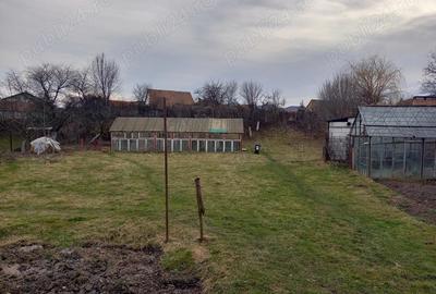 Particular, vand casa + teren de 2200m2 in Zarne?ti, Tohanul Vechi - 4