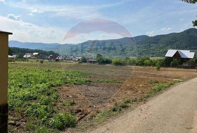 Teren intravilan Baia Sprie / Strada Rozelor - 1