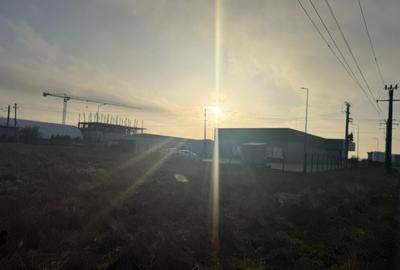 Teren de 3000 mp, în Cârcea