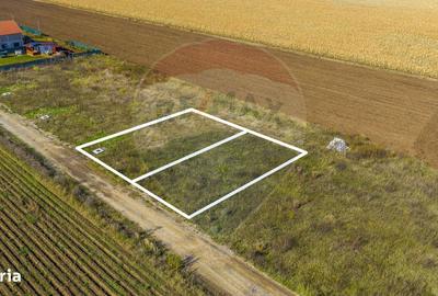 Spațiu comercial, în Județean - 3