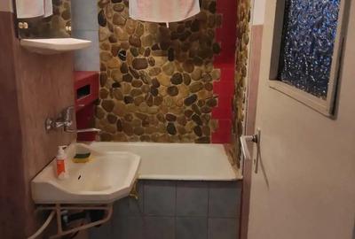 Ap 2 camere etj 1 str.Al Streiului - 3