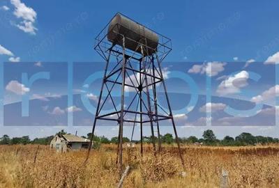 VANZARE TEREN 45.000 MP | IDEAL FERMA, HALA, PANOURI SOLARE | SACENI, TELEORMAN