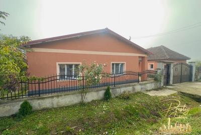 Casa cu anexe si teren de 1000 mp de vanzare in comuna Spinus-Bihor - 1