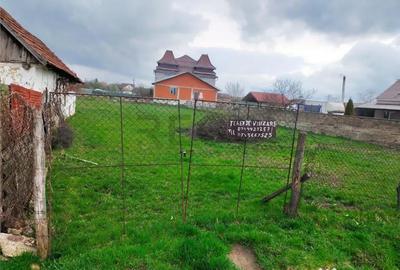 Teren de 1079 mp, în Tileagd - 5