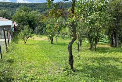 Teren intravilan (faneata) de vanzare  - 2231 mp, Telega, jud. Prahova