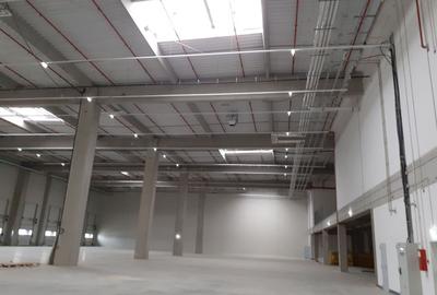 Hale logistice si industriale clasa A, supr 1000 mp la 70000 mp - 4