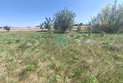 Teren Construcții intravilan de 514 mp, în Stupini - 6