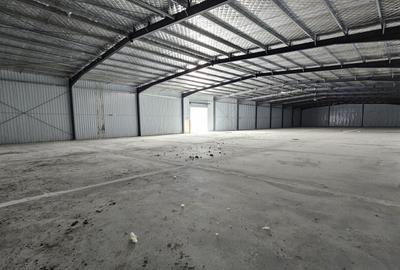Hale Industriale | DN2 | Afumati-Doraly Expo - 1
