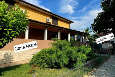 Vila Coslogeni pe brat-ul Borcea - 3