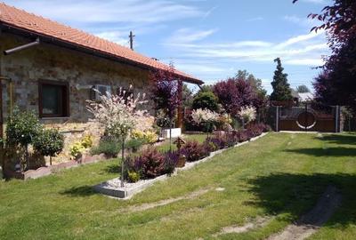 Casă individuală cu 3 camere cu Teren 3621 Mp în Mihăești - 1