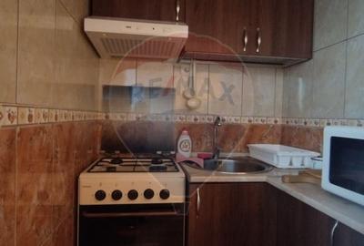 Apartament spatios de vanzare in zona turistica - Sinteu, Bihor - 9