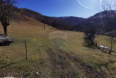 Spațiu comercial, în Munteni - 11