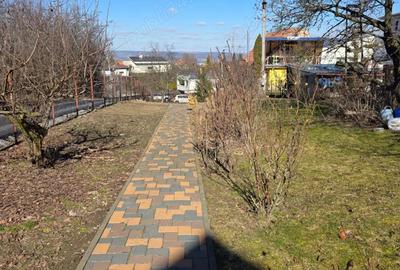 Casă cu Teren 1650 Mp în Făget - 4