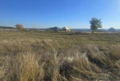 Teren de 1000 mp, în Central - 2