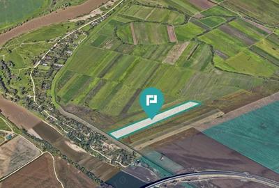 Teren de 24.400 mp Vladimirescu, Arad - 1