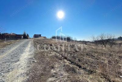 Teren cu potential de investitie 2430 mp si drum de acces - 3