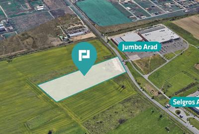 Teren agricol extravilan de 55340 mp, în Micălaca - 6