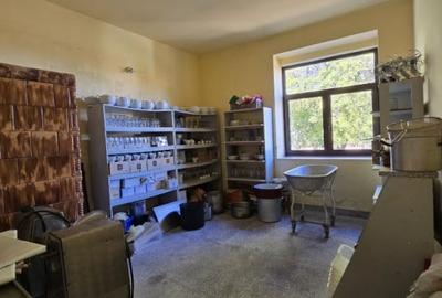 Casă individuală cu 3 camere cu Teren 669 Mp în Cenad - 4