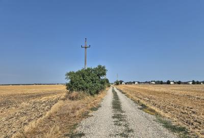 Teren intravilan 4428 mp - Balotesti - 3