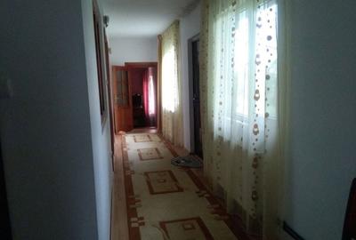 Casă cu 3 camere în Crivina - 1
