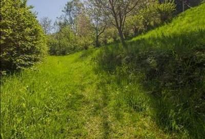 Resedinta distinctiva, pe domeniu de 2.200mp,cadru exclusivist, Central, Brasov - 14